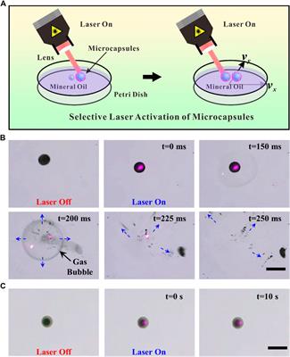 Perfluorocarbon-Loaded Hydrogel Microcapsules from Interface Shearing for Magnetic Guided Ultrasound and Laser Activation
